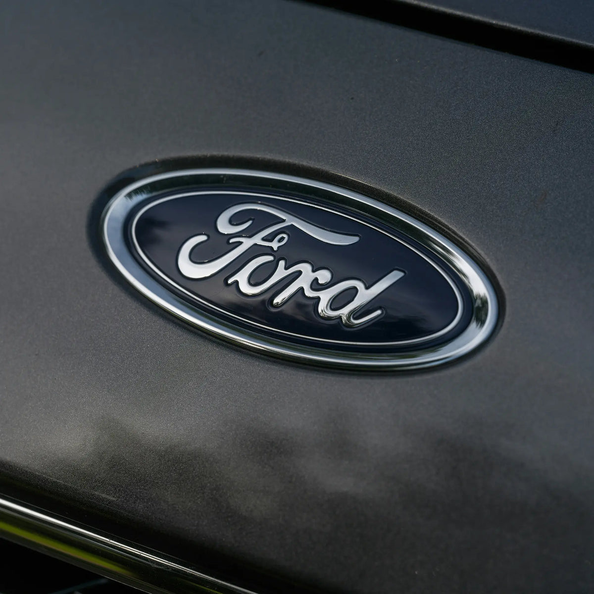 Raptor