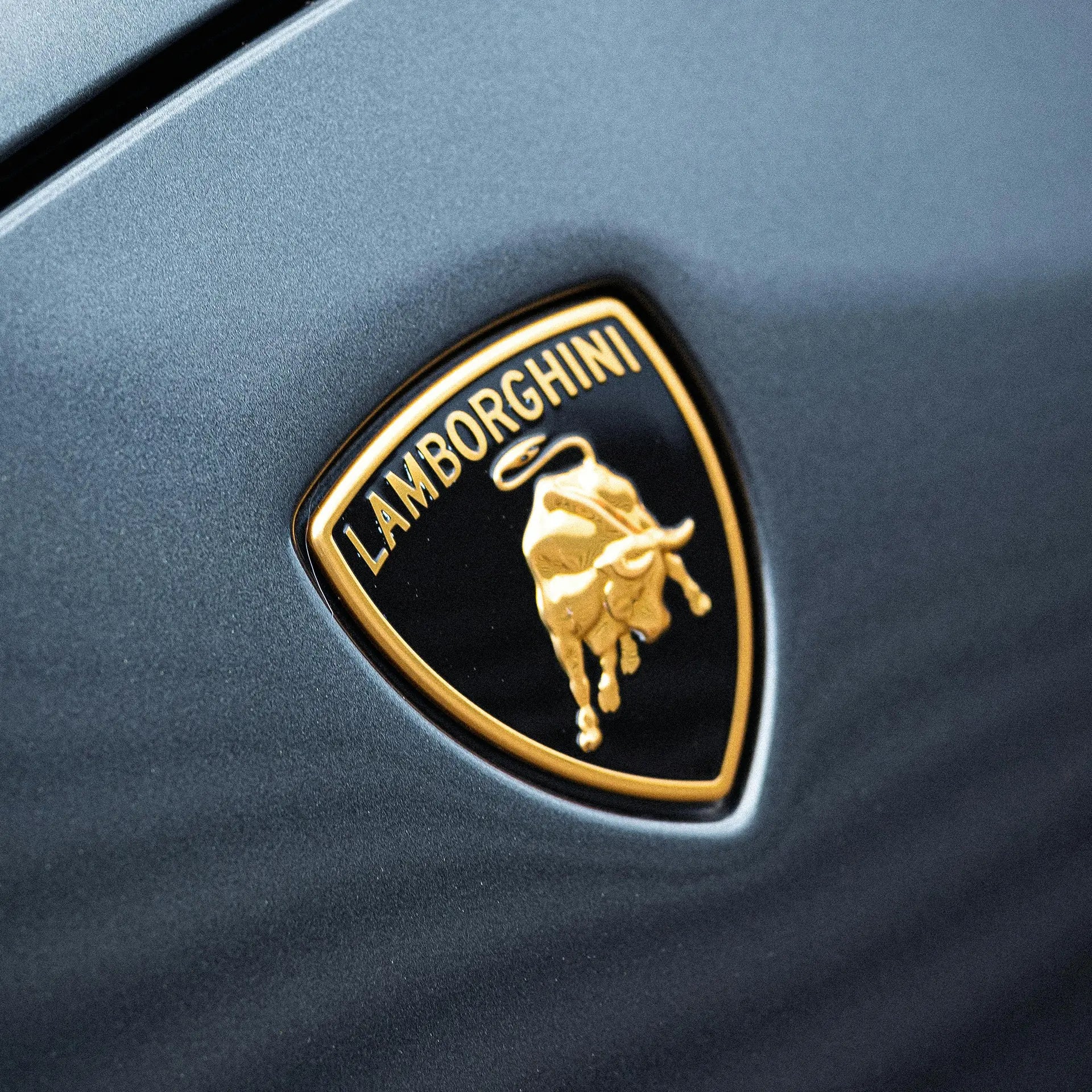 The Lamborghini logo medallion on the hood of a vehicle. 