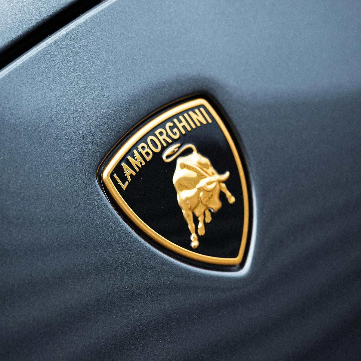 Gallardo