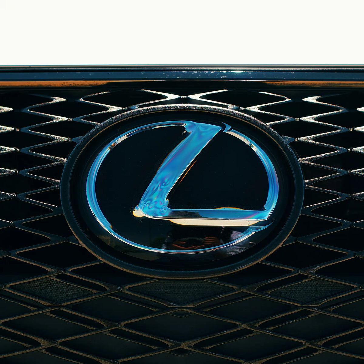 LS 501