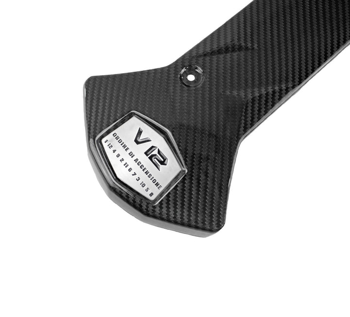Carbon Fiber Center Intake Panel-  Lamborghini Aventador