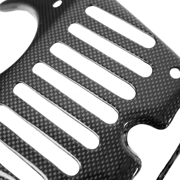 Carbon Fiber Rear Hatch Lock Cover - ECG Speciale Version w/Red Stripe 458 Speciale Aperta Ferrari