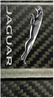 Jaguar Silver Carbon Fiber Money Clip