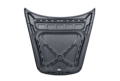 Carbon Fiber Hood