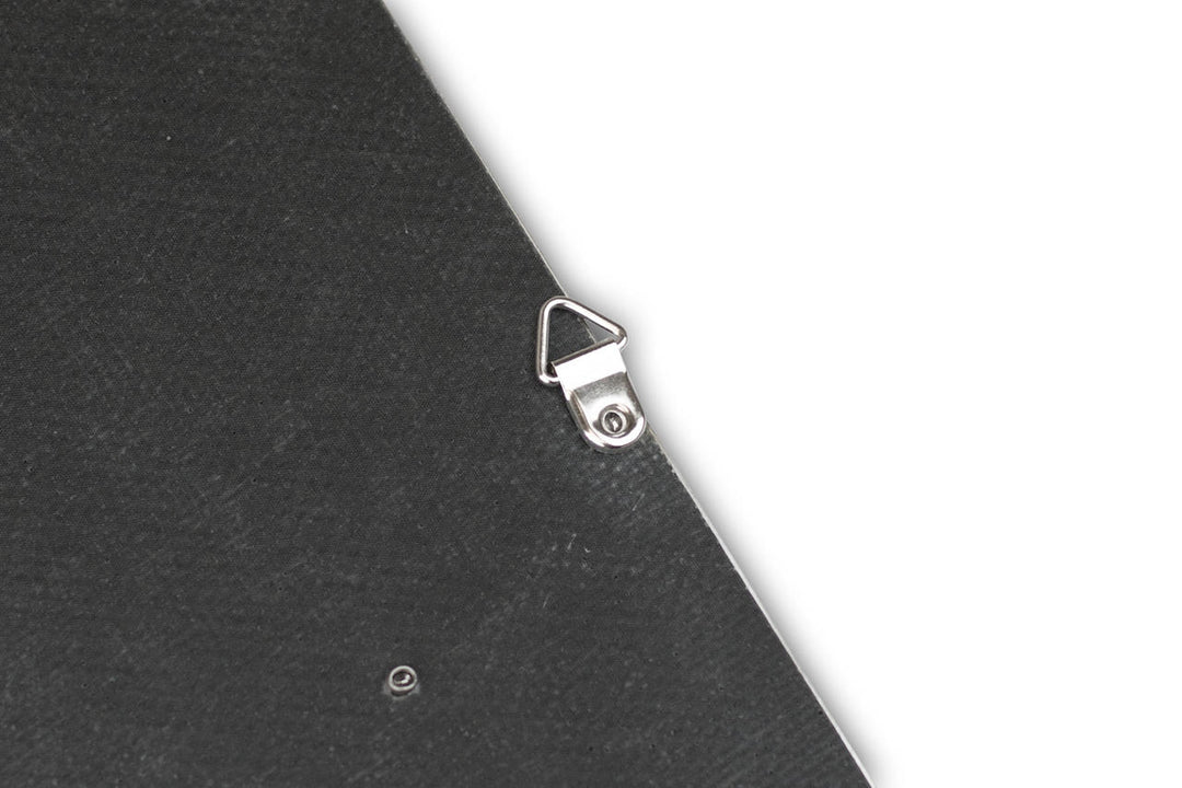 Fabspeed Carbon Fiber Wall Art - BMW