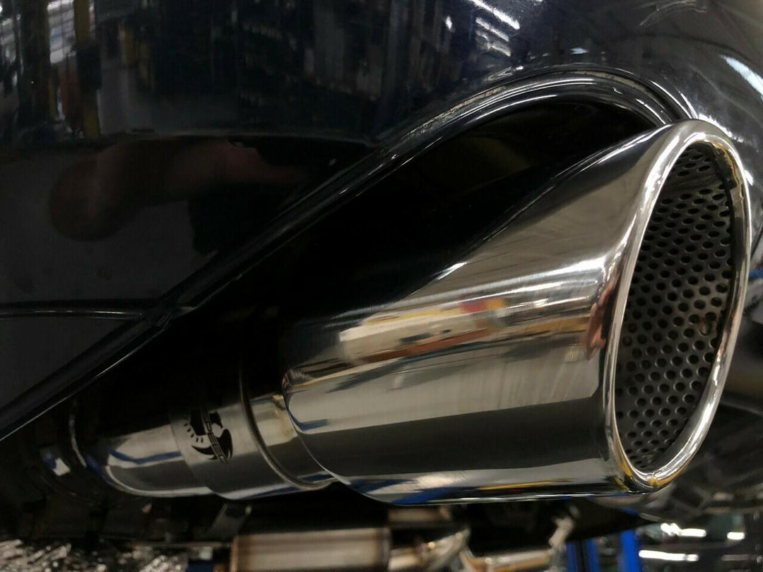 Fabspeed Porsche 964 Turbo 965 C2 Turbo Deluxe Oval Style Tips (1990-1 ...