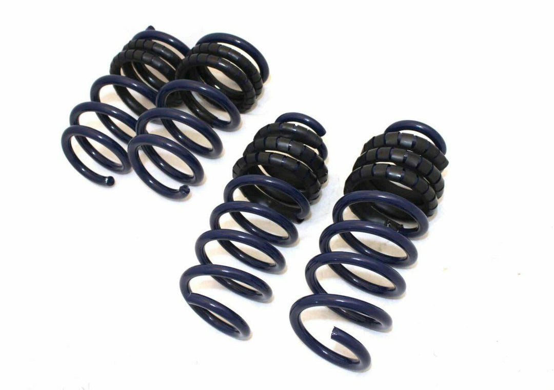 Unplugged Performance Tesla Model 3 Dual Rate Lowering Spring Set